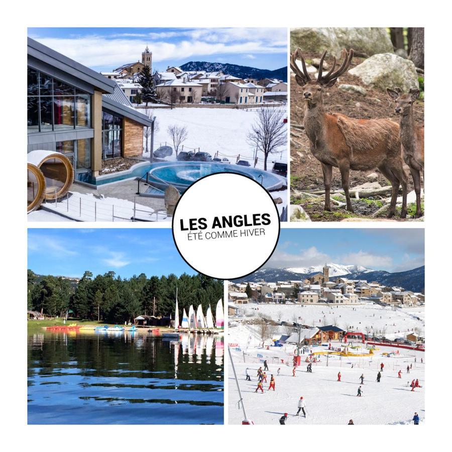 לס אנגל Le Petit Ours & Le Petit Cerf - Studios Vue Lac & Montagnes מראה חיצוני תמונה